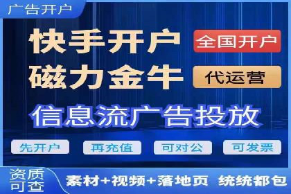 SEM推广实战：案例分析与优化
