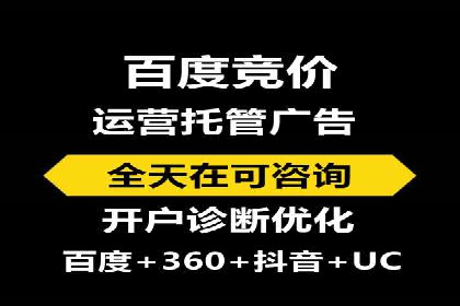 某行业SEM主管的优化策略与成果展示